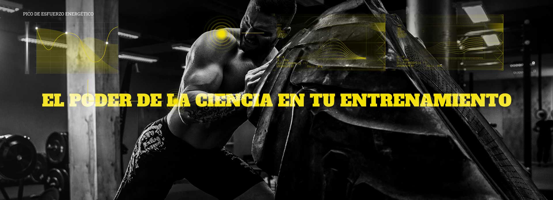Creatine_medio