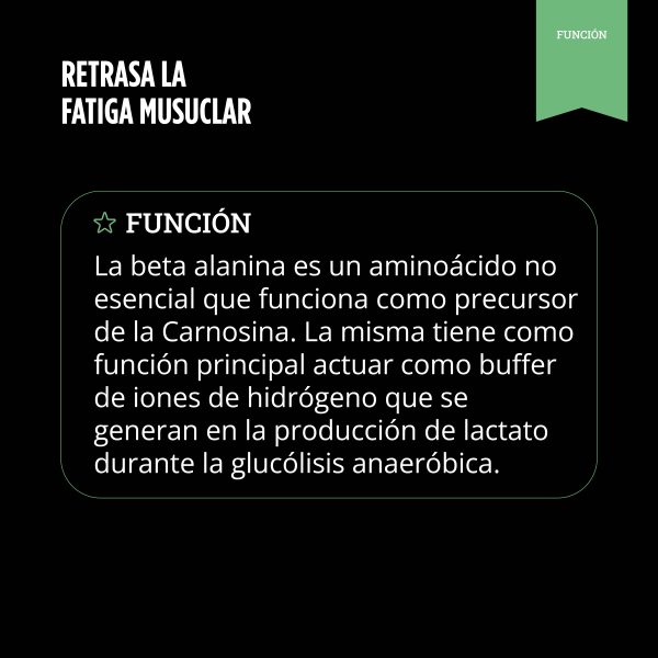 Pure Beta Alanine - Imagen 5
