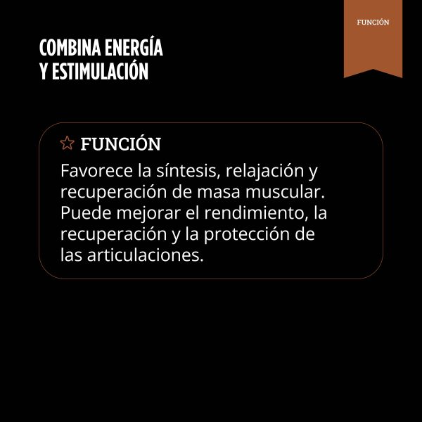 Hydro Whey Protein (Chocolate) - Imagen 4