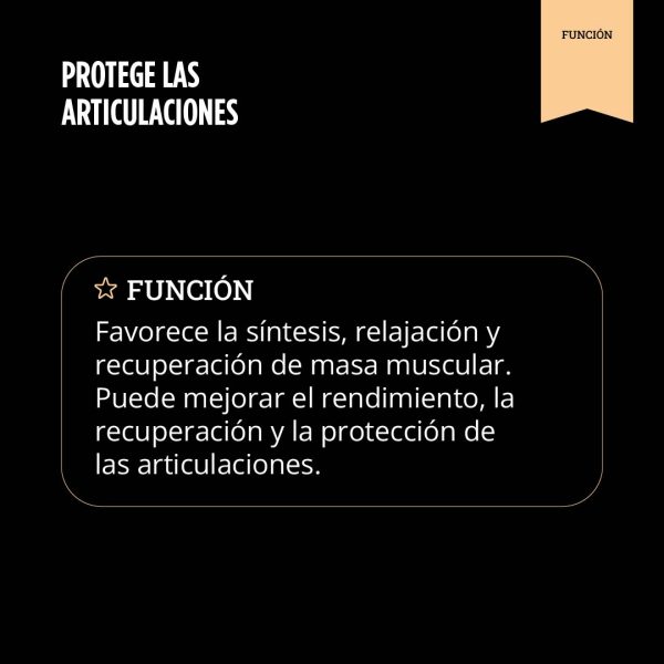Hydro Whey Protein (Vainilla) - Imagen 8