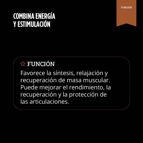 Hydro Whey Protein (Chocolate) - Imagen 8